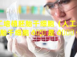 人工培植胚胎干细胞（人工培植胚胎干细胞 🦋 是 🐕 什么）